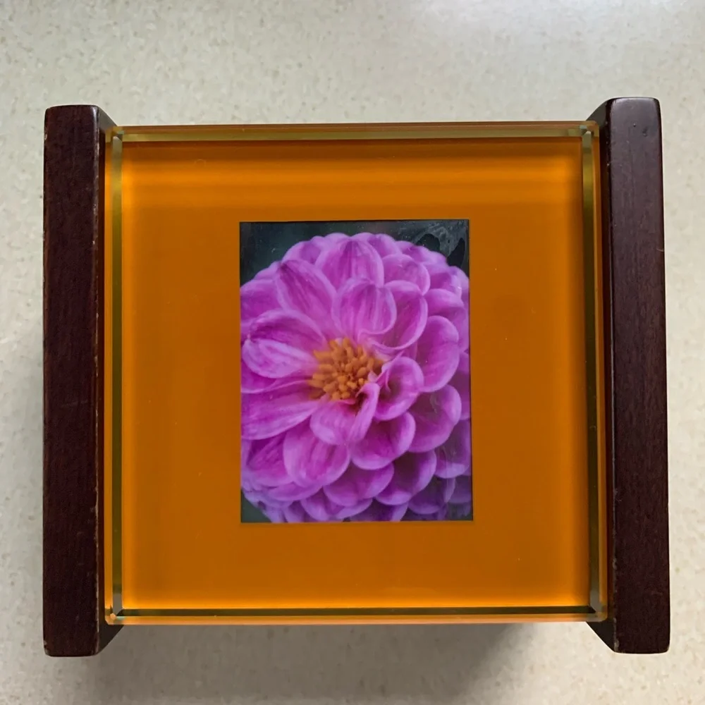 Crate & Barrel Swing set of 4 photo coasters